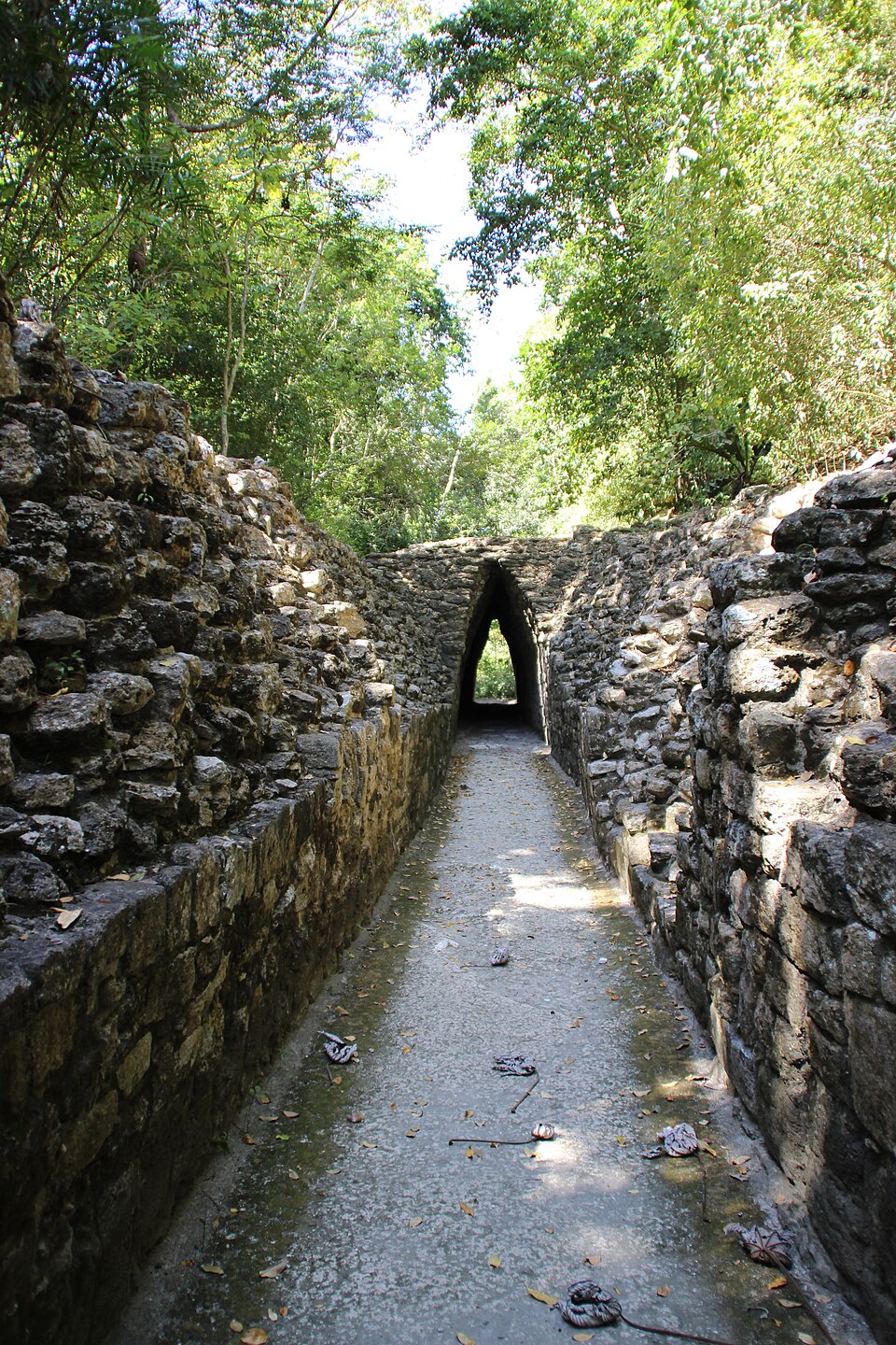 Photograph of La Muralla — the defensive earthen-ridge-and-ditch wall surrounding the pre-Columbian Maya city of Becán in Campeche, Mexico, dated to roughly AD 100–300