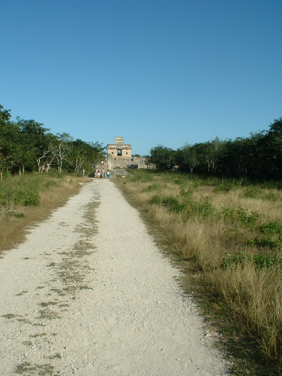 Photograph of a wide raised limestone causeway (sacbe) at Dzibilchaltun in the Yucatán. The road surface is bright white crushed limestone running straight through grassy terrain toward a small Maya stone structure on the horizon, with scrub trees on either side.